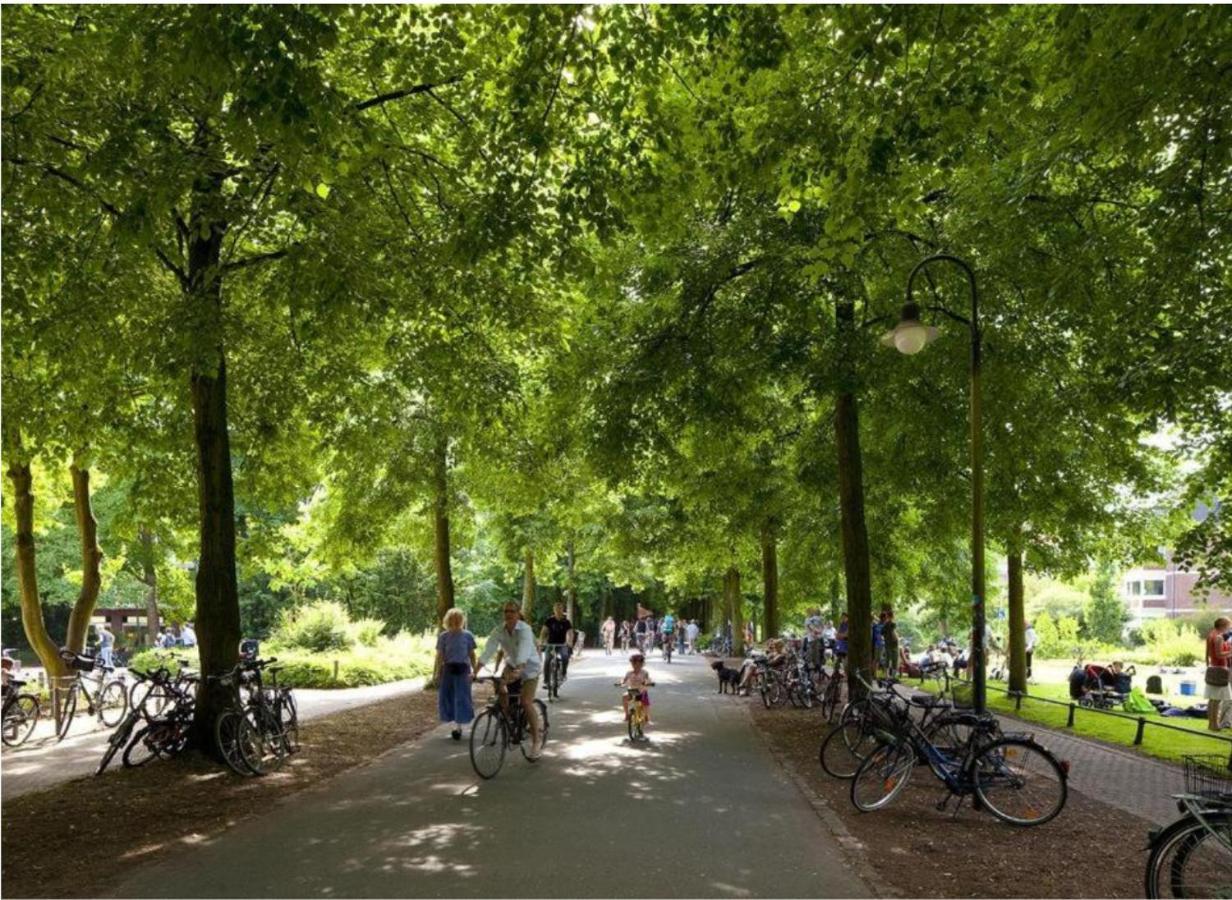 Gemuetliches Und Modernes Apartement In Gruenen Top-Lage Muenster 외부 사진